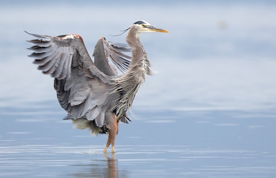 Stabilizing the Colorado River Basin Now So We Can Thrive into the